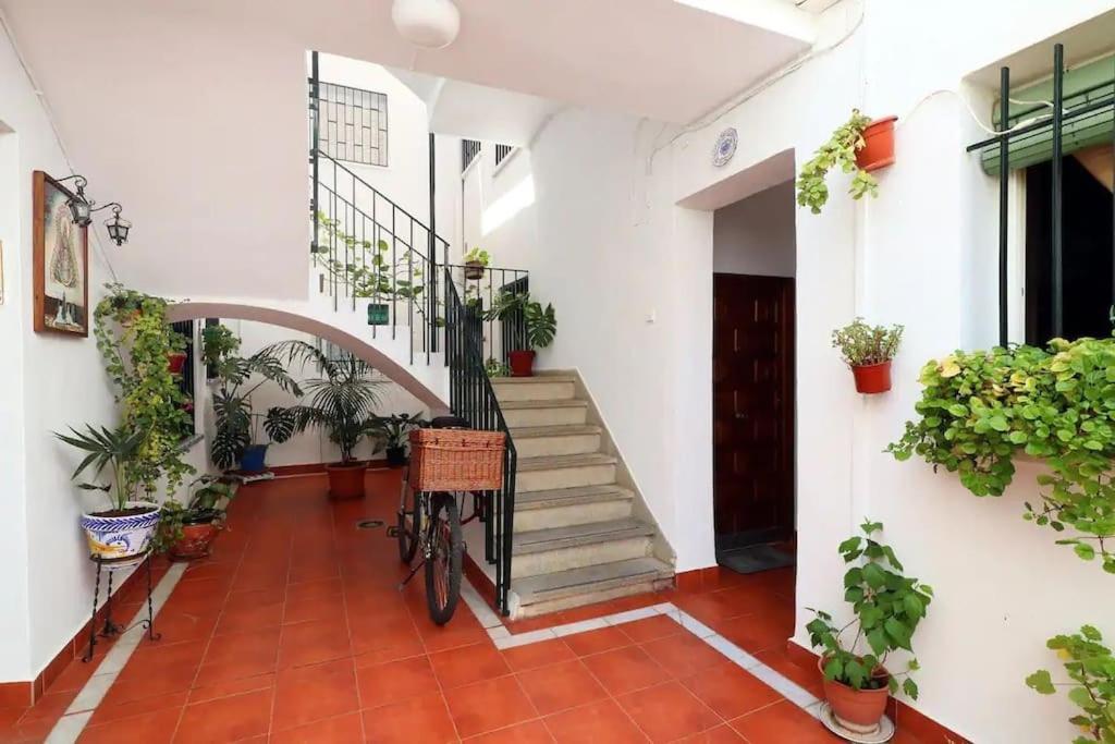 Kinahouse Apartment Cordoba Ngoại thất bức ảnh